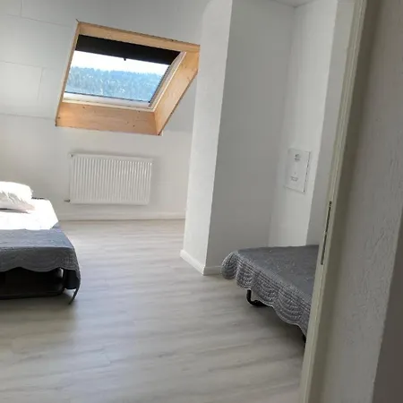 Maison De Maitre Apartment Tramelan